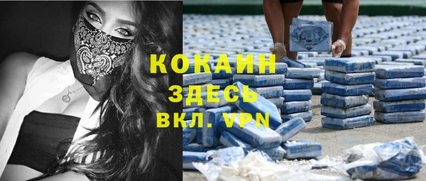 шишки Балабаново