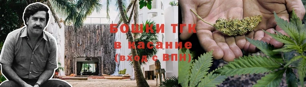шишки Балабаново