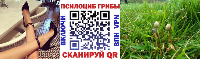 мега ТОР Нижняя Тура Галлюциногенные грибы мухоморы